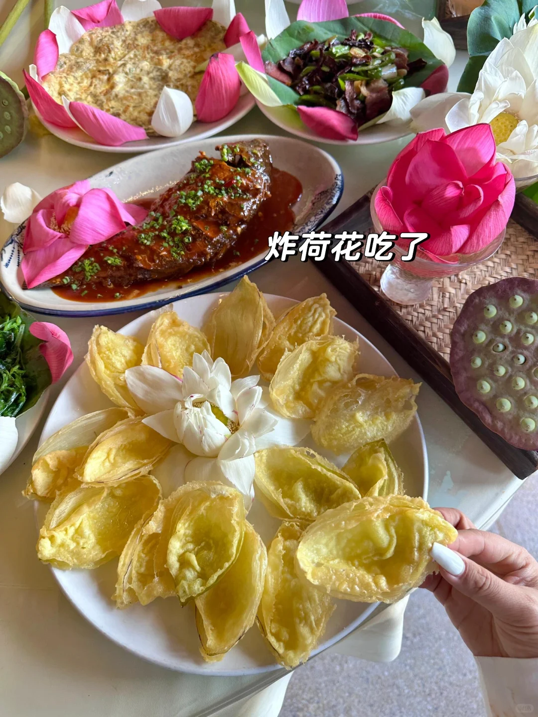 放弃大理了，暑假冲21°C的弥勒，人少景还美！