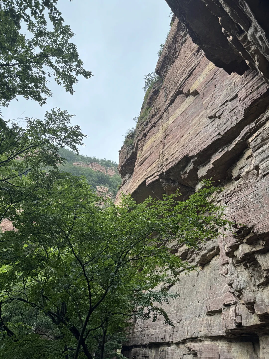 石家庄周边宠物友好景区-嶂石岩
