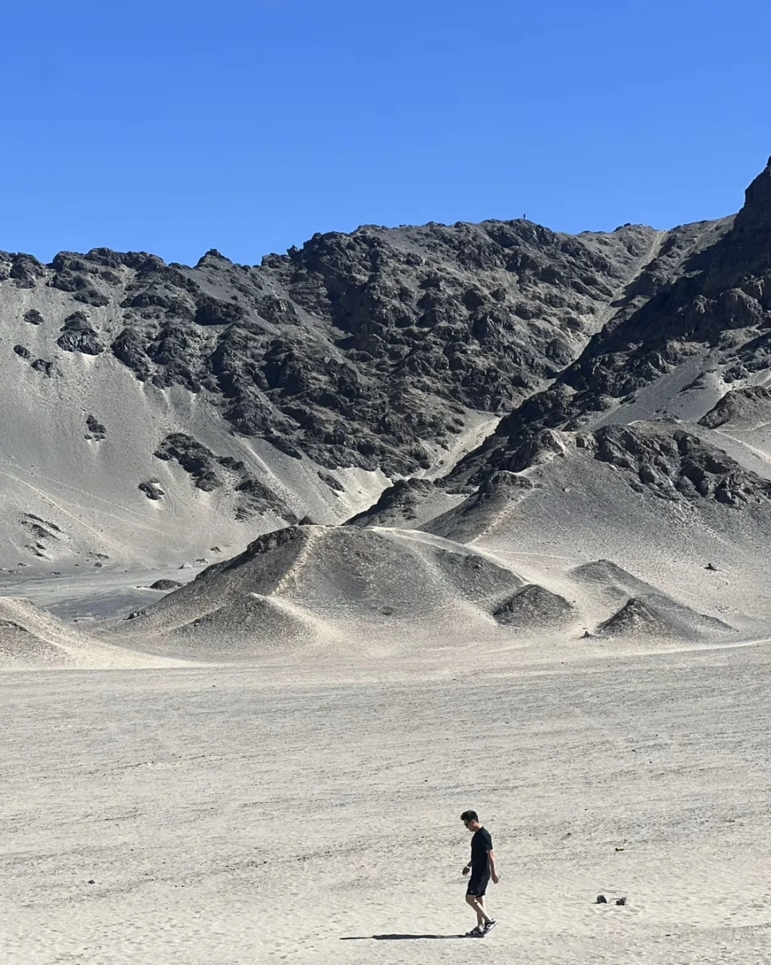 大西北并非寸草不生