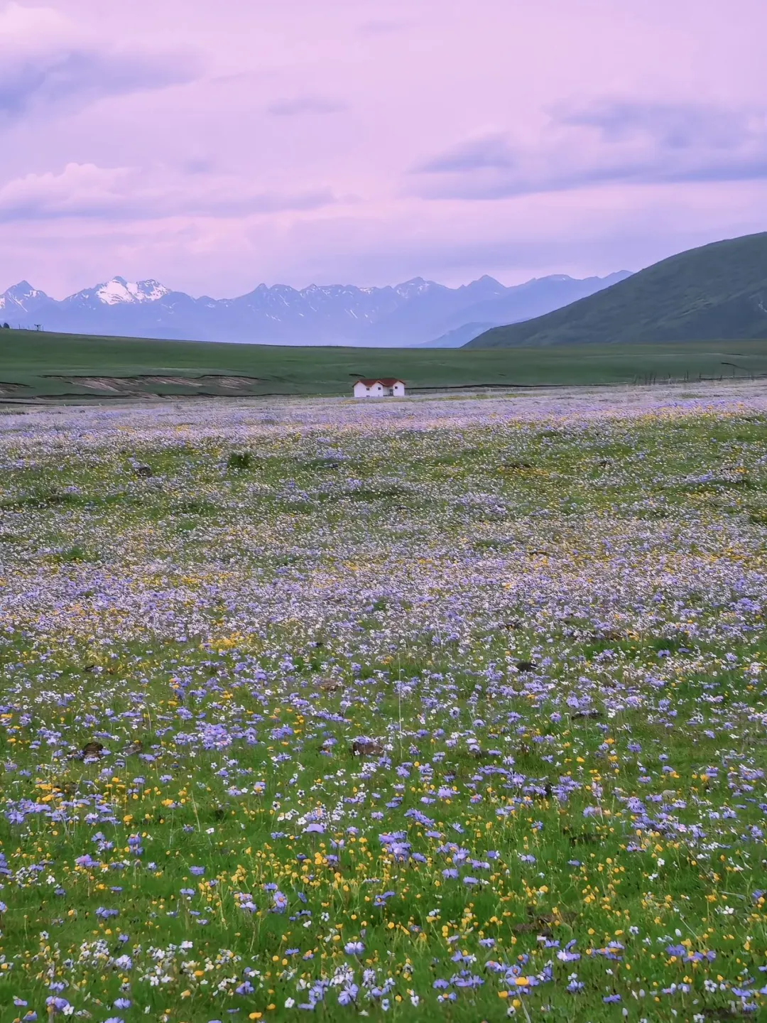 在川西！去山里感受20度的夏天💦