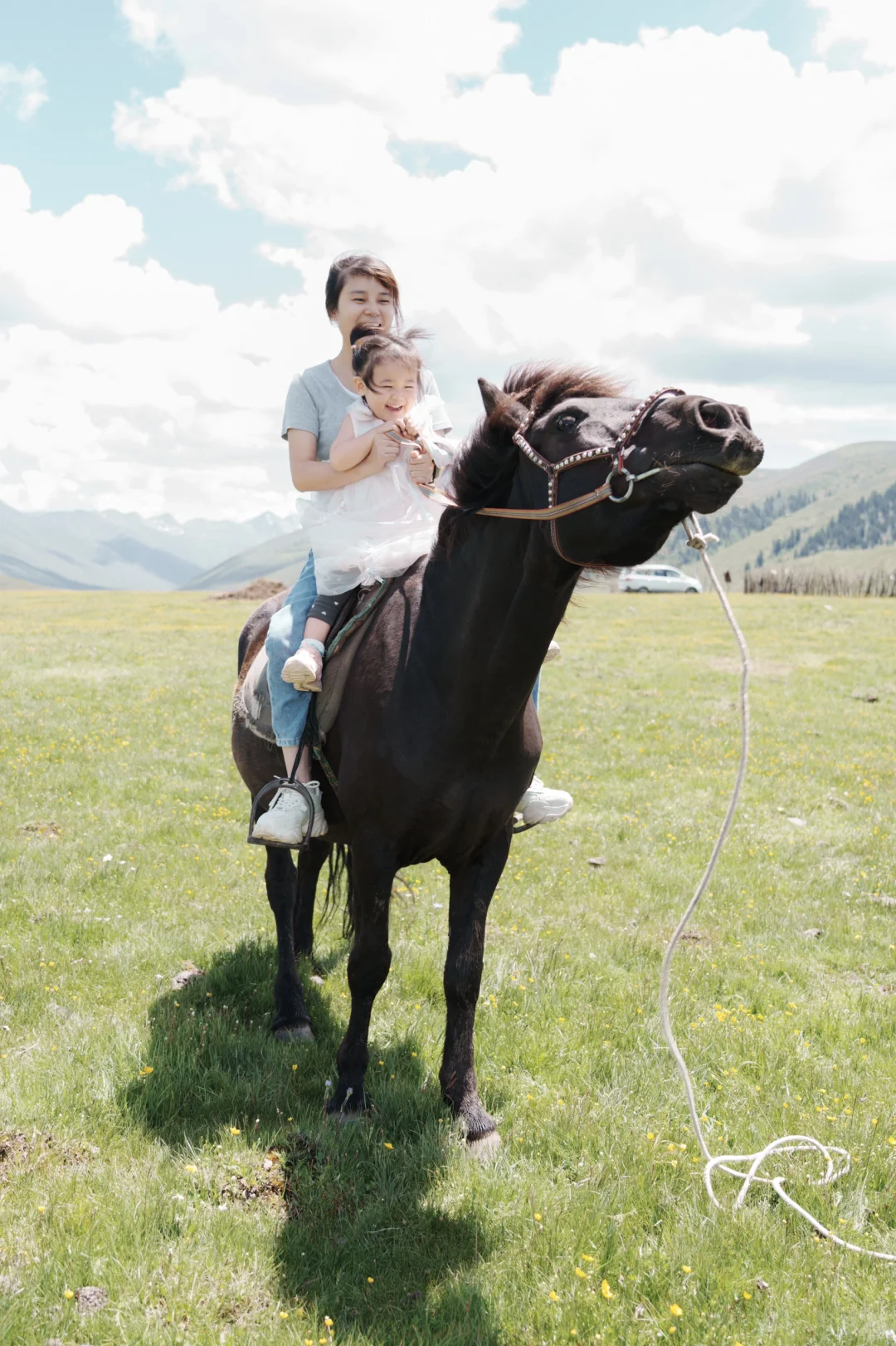 花海去什么俄么塘，达格则啥都能实现。