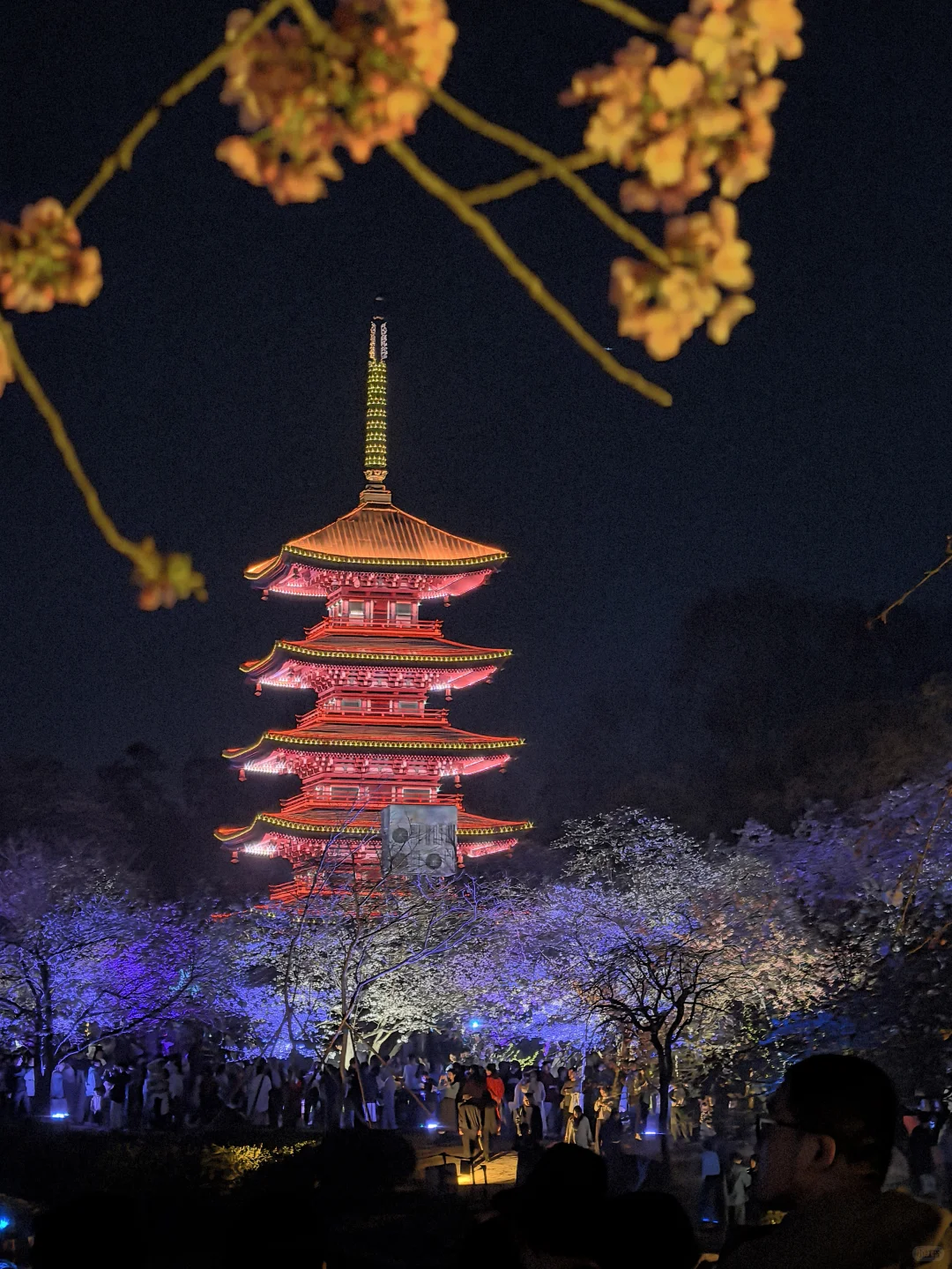 湖南-湖北｜长沙-武汉5日游攻略4️⃣.2️⃣