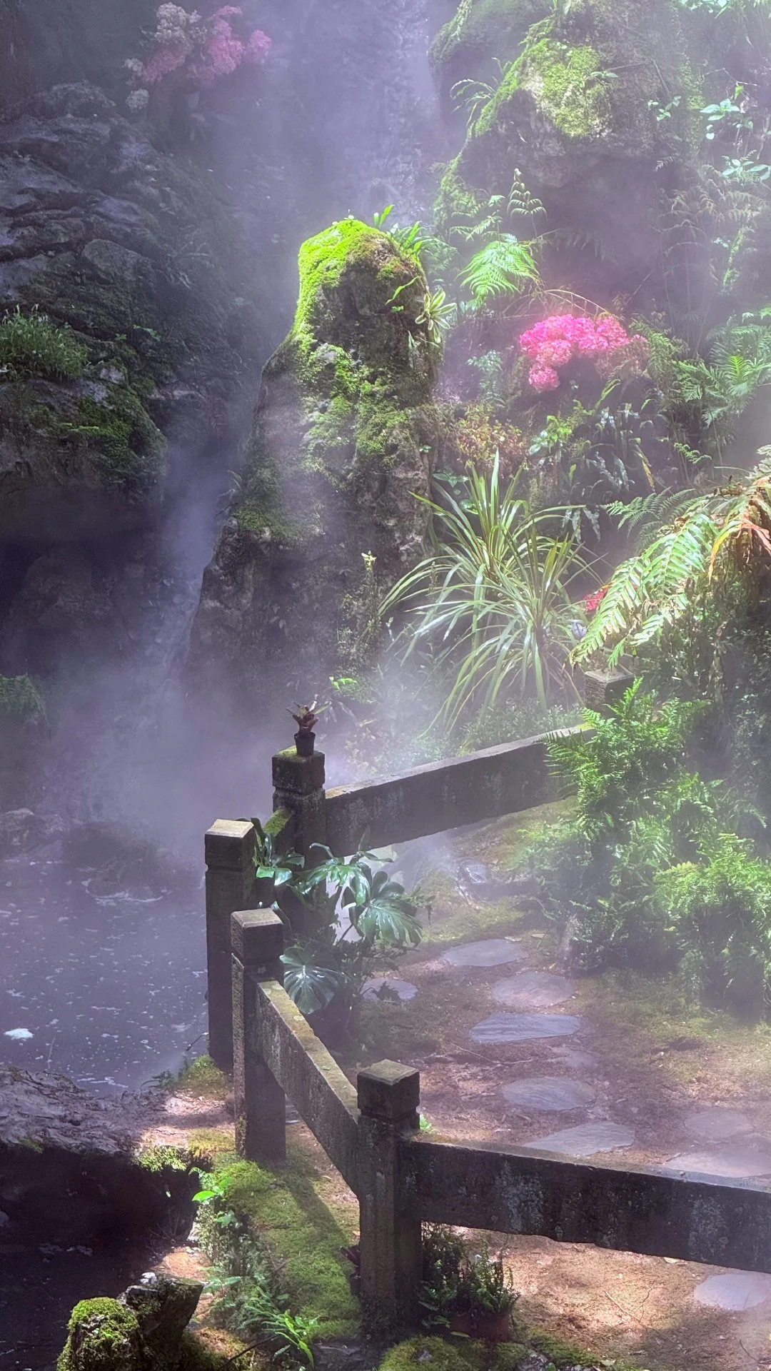 杭州避暑胜地「仙桥洞」绿野仙踪+ 丁达尔效应