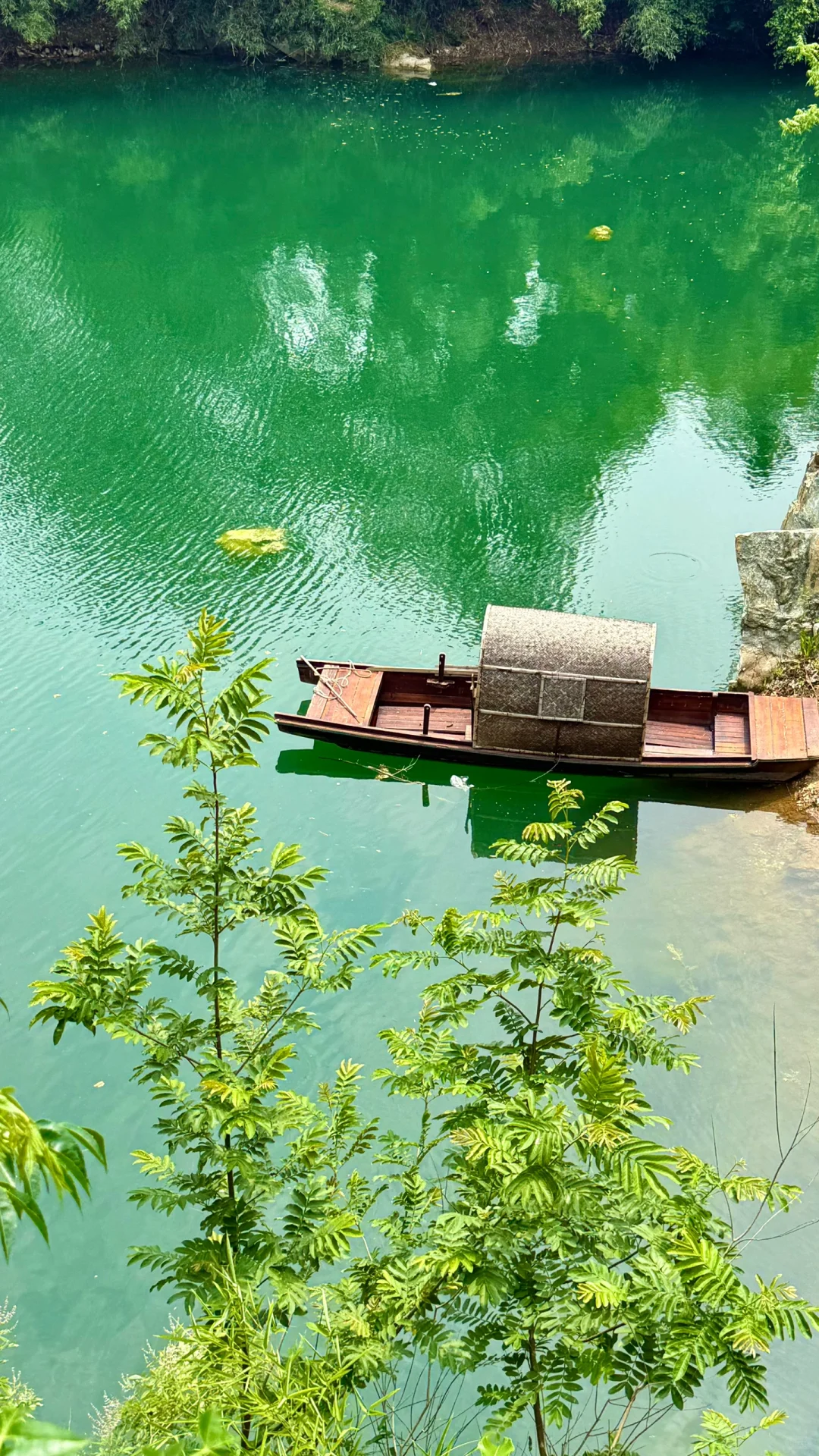 河南 你又美出了新高度🔝三天两夜