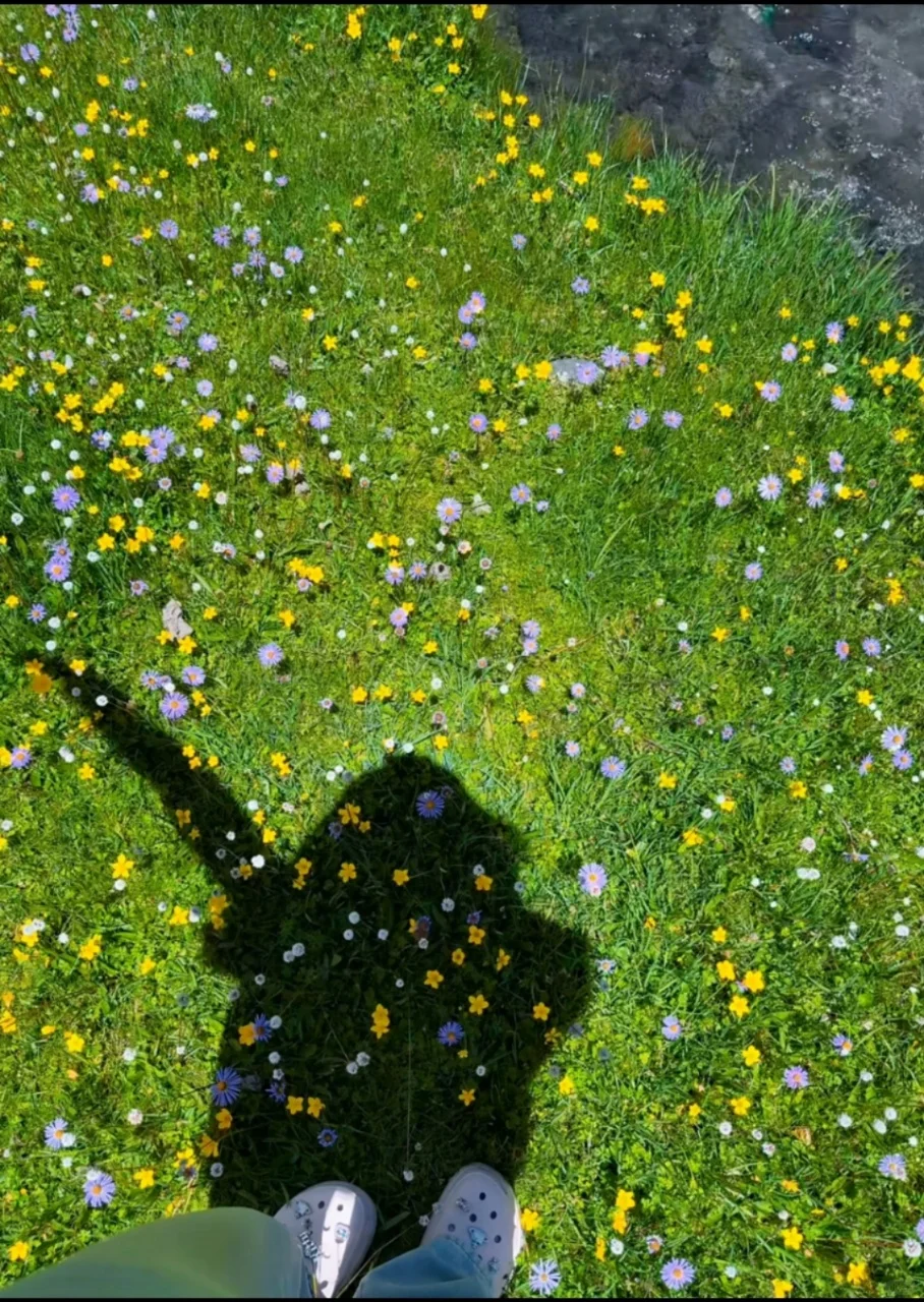 6月的川西是令人向往的