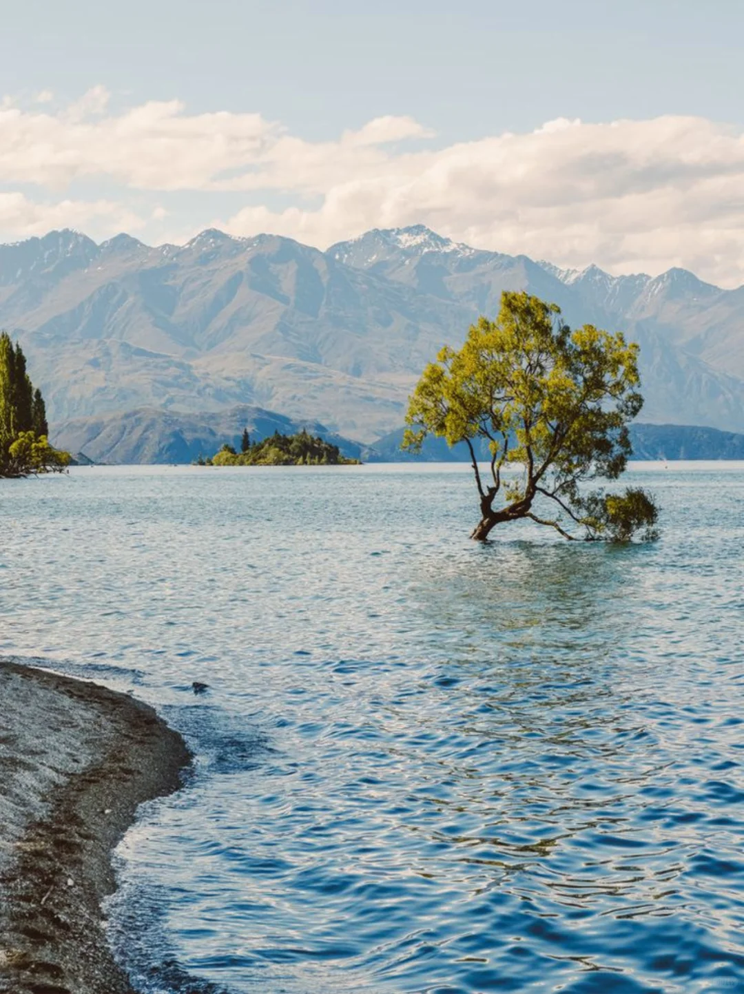 存下吧！很难找到的2025新西兰旅游攻略。。