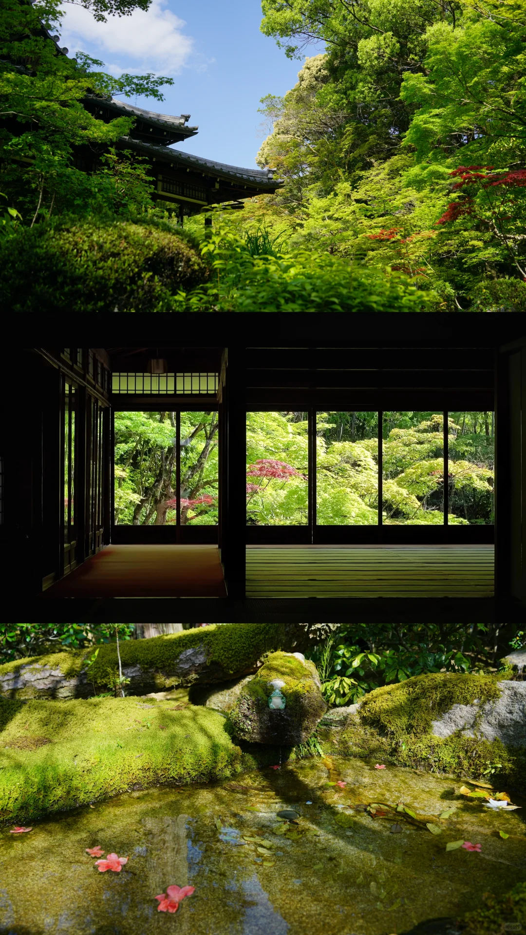 未曾设想的道路-京都攻略（避开人流版）