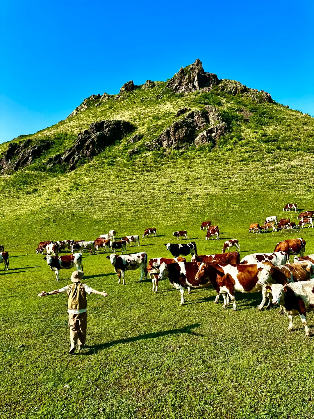 跟朋友去了趟内蒙古，真的可以媲美新西兰了…