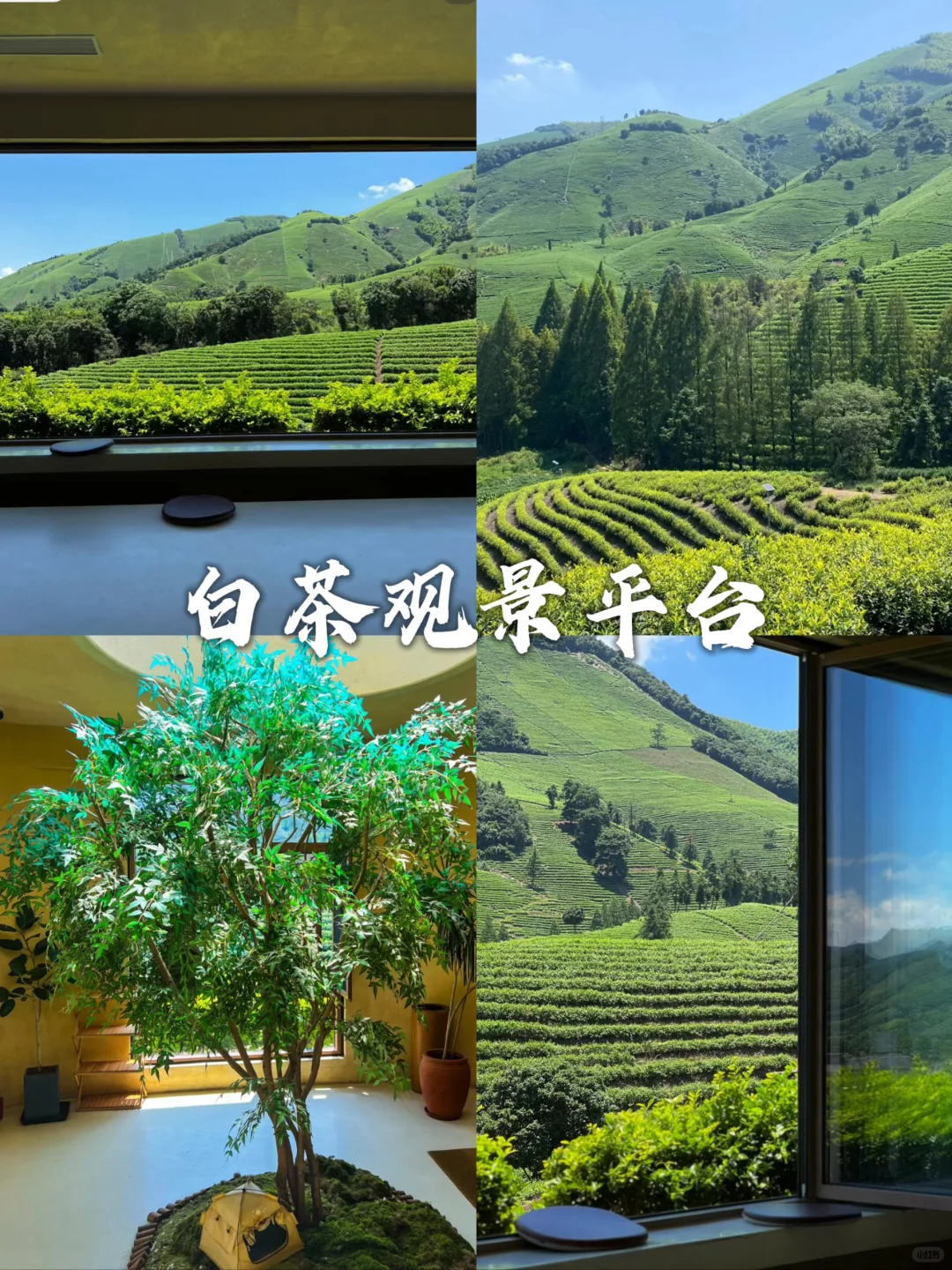 湖州旅游不要错过这几个地方