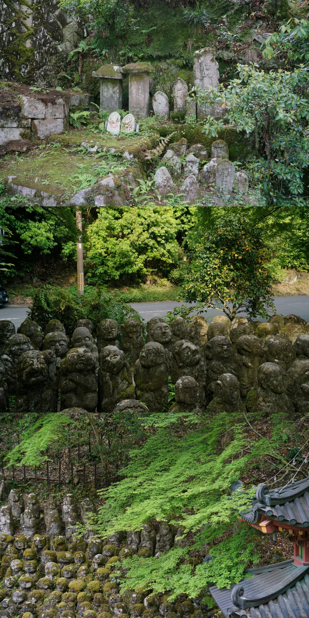 未曾设想的道路-京都攻略（避开人流版）