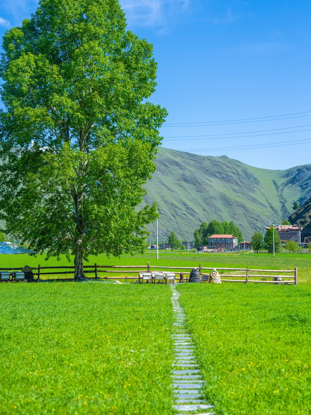 已经开始期待夏天的川西了！🍃～