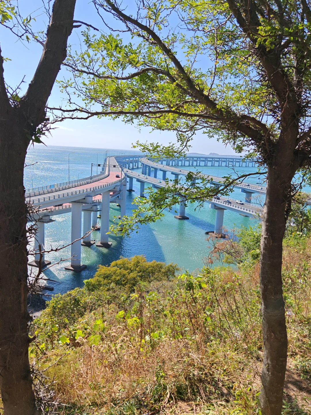 大连刚回✈️一个漂亮又浪漫的海滨城市