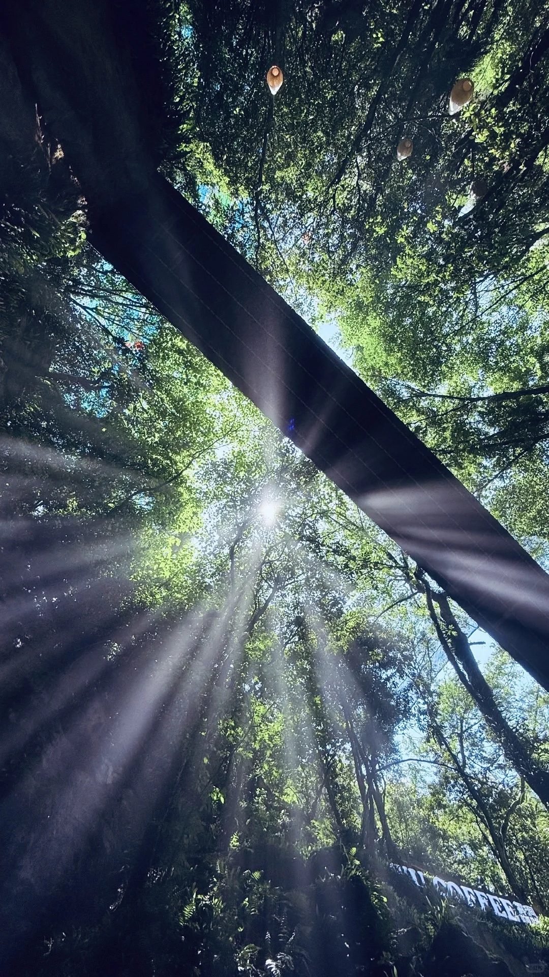 杭州避暑胜地「仙桥洞」绿野仙踪+ 丁达尔效应