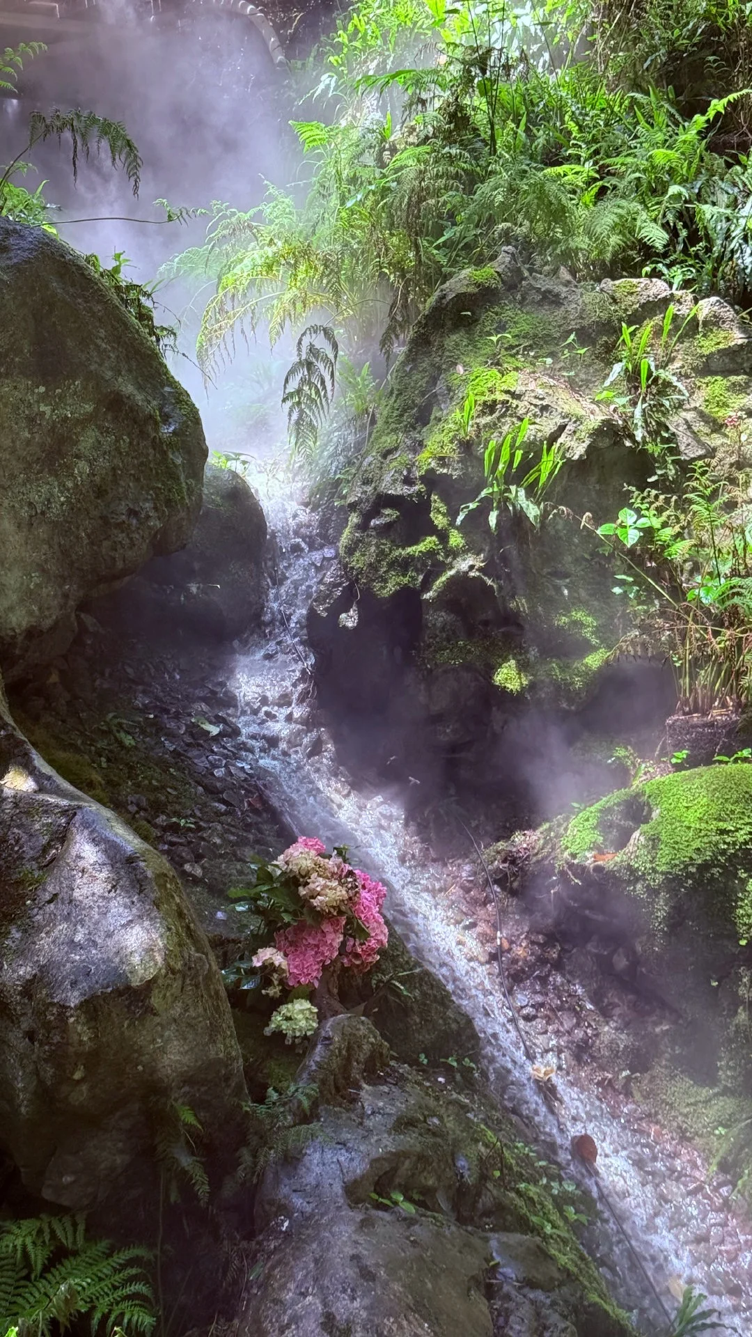 杭州避暑胜地「仙桥洞」绿野仙踪+ 丁达尔效应