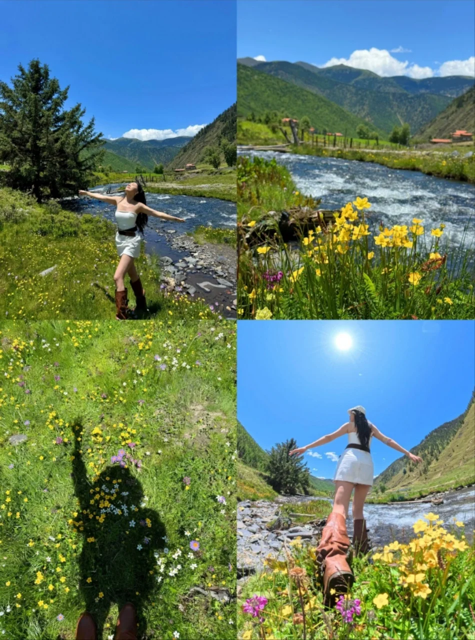 6月的川西是令人向往的