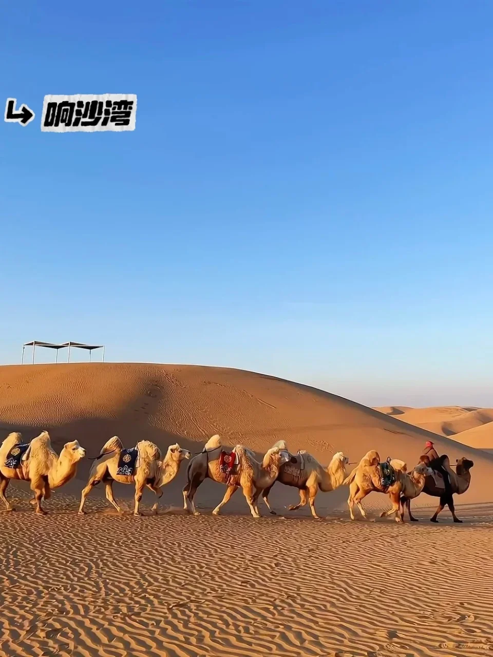 人生建议：6-9月一定要去一次内蒙古