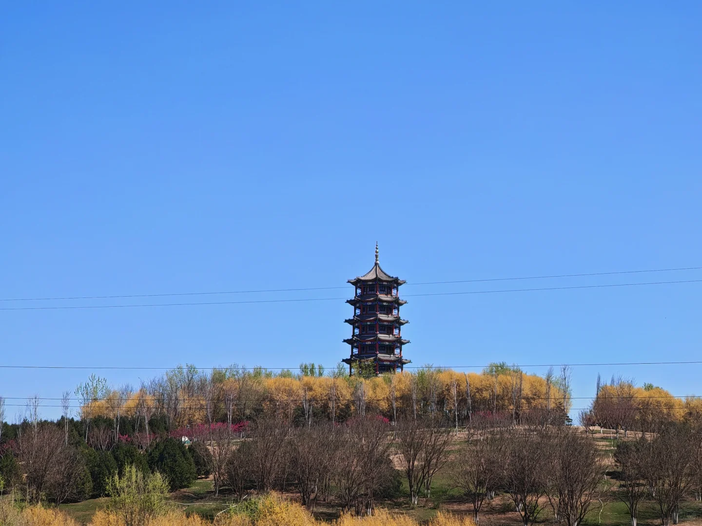 总要去趟这个有塔的地方吧～