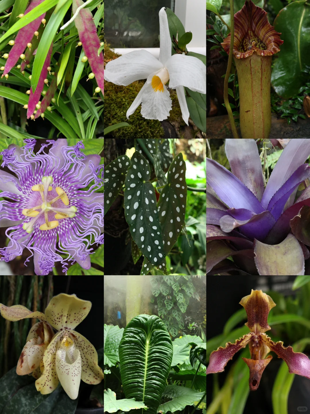 昆明到底谁爱去啊（我！附小众三日游攻略）