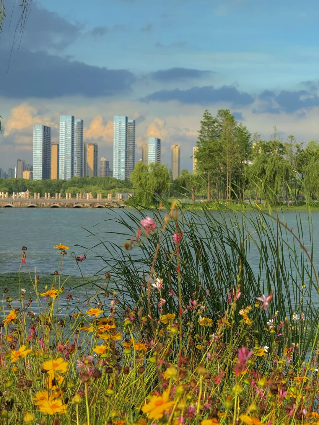 无锡夏天最迷人的小岛，我会反复爱上。