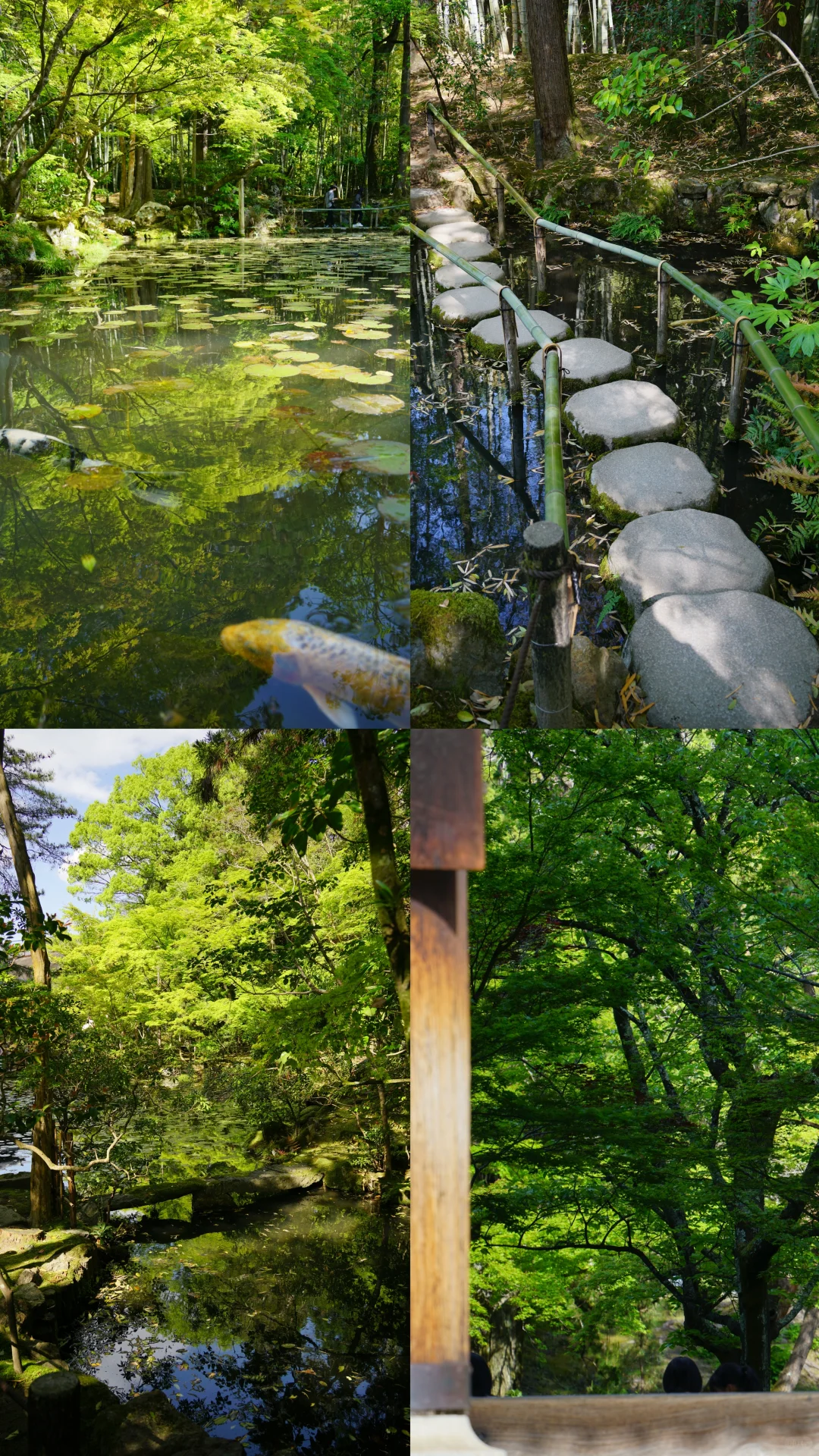 未曾设想的道路-京都攻略（避开人流版）