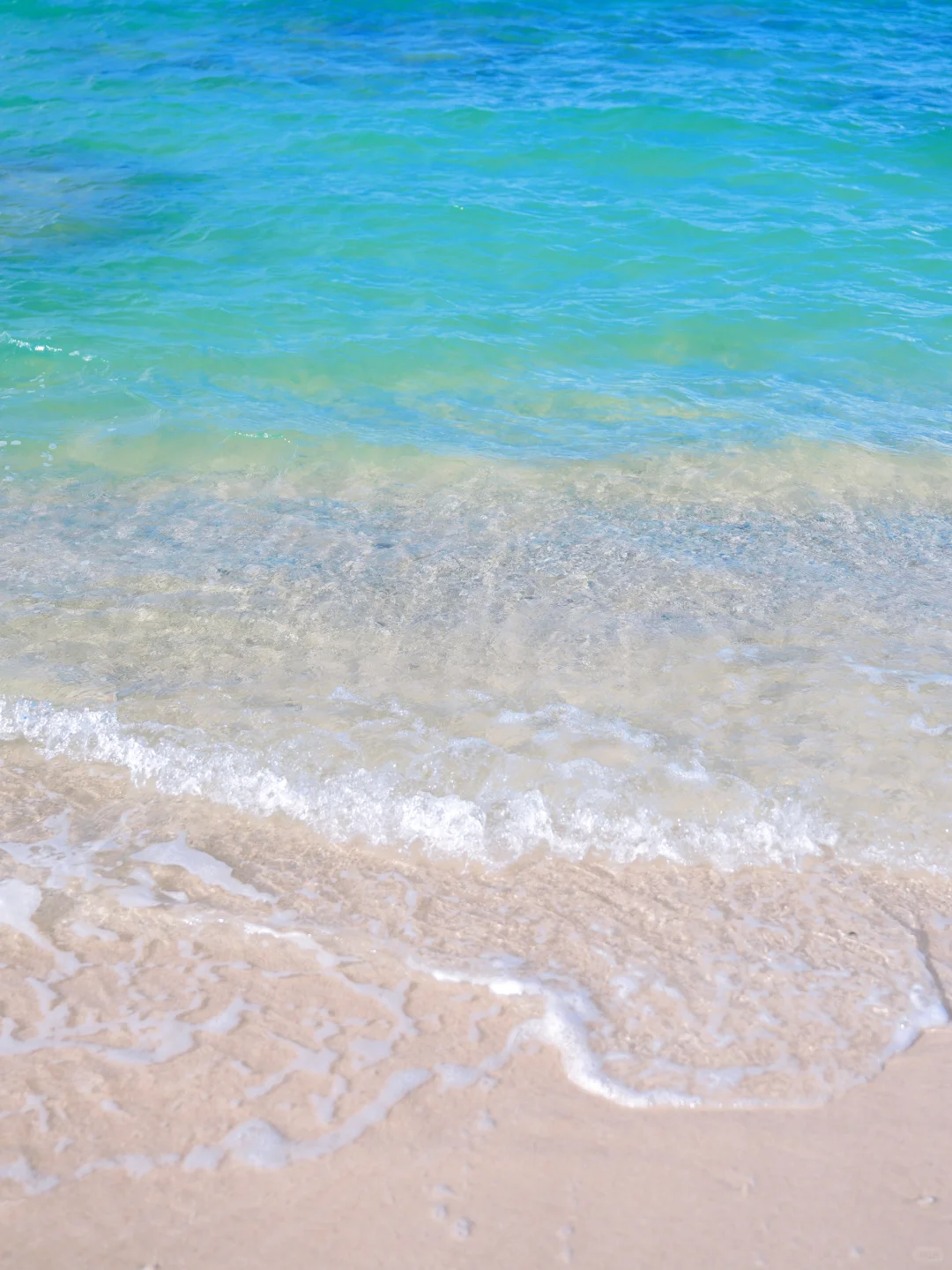 蜈支洲岛避大雷！小白必看超全攻略‼️