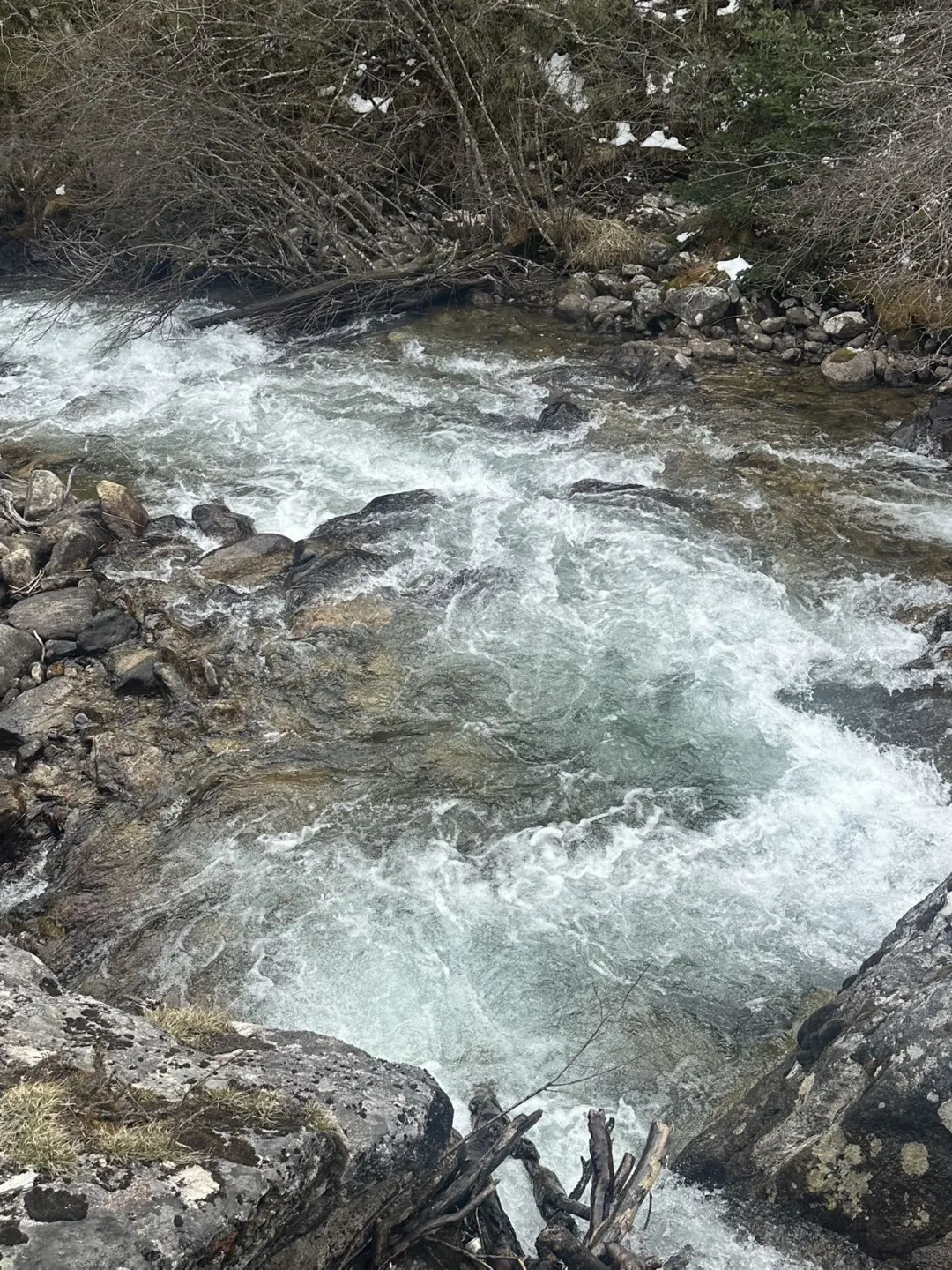 在川西！去山里感受20度的夏天💦