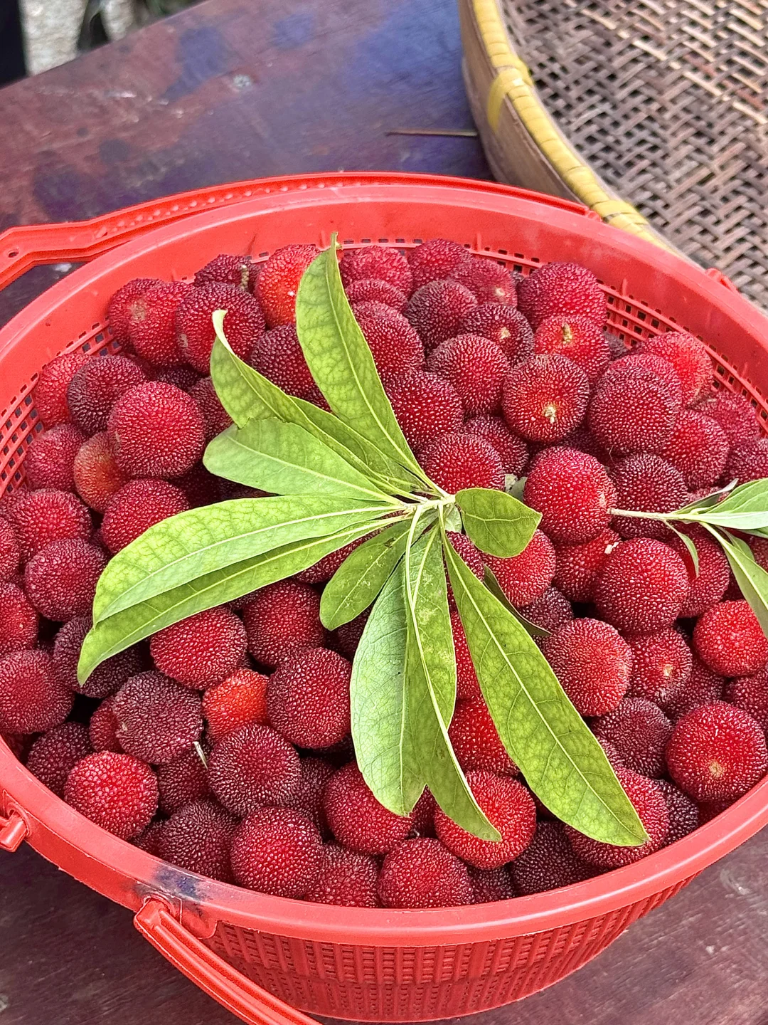 去莫干山一次等于看心理医生一百次‼️附攻略