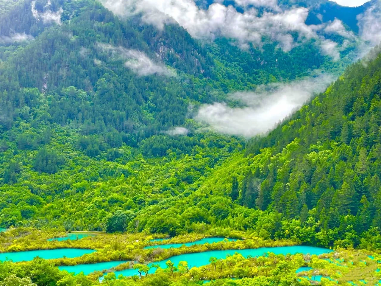 1000块💰玩转九寨沟两天一夜