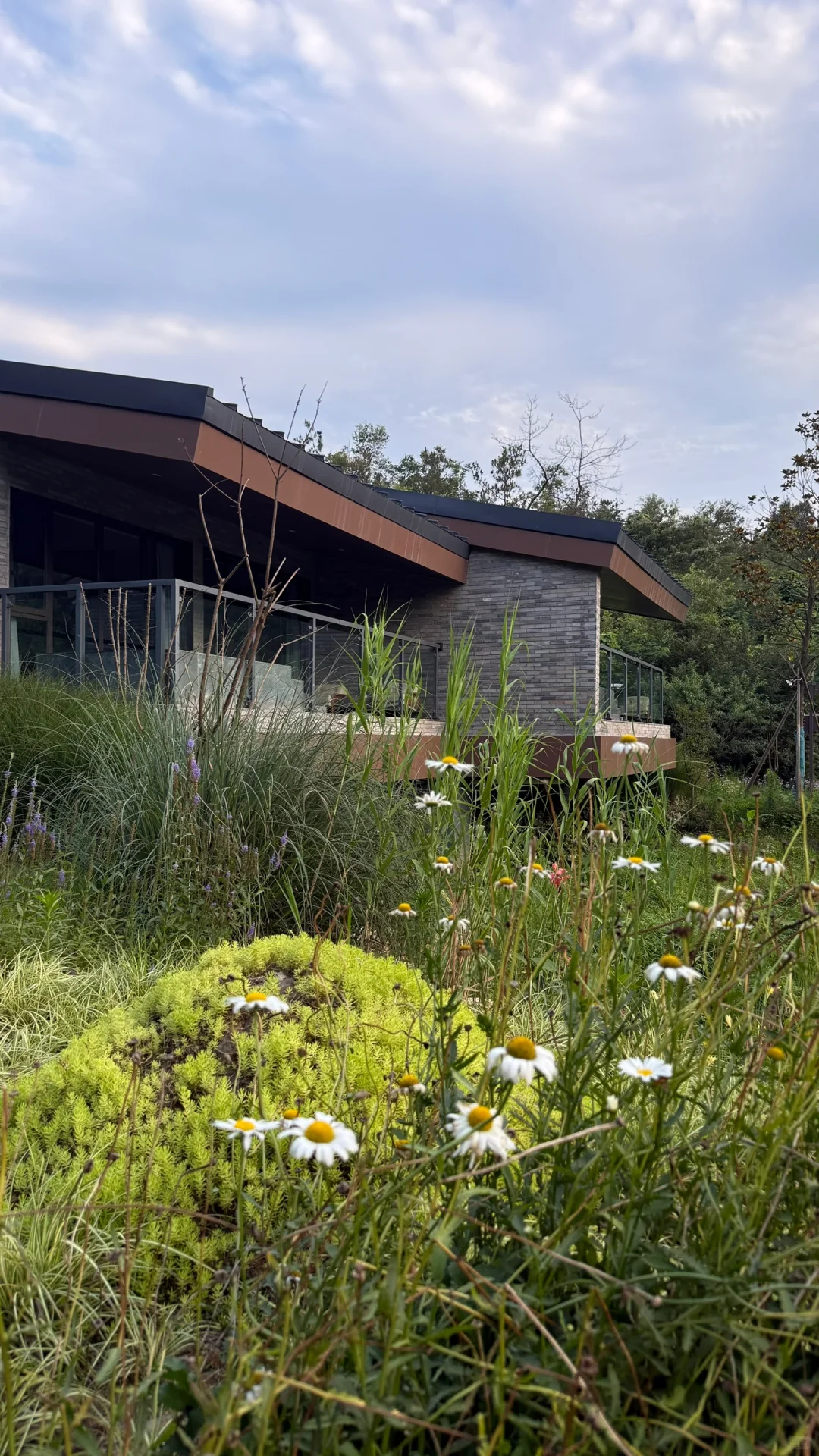 河南 你又美出了新高度🔝三天两夜