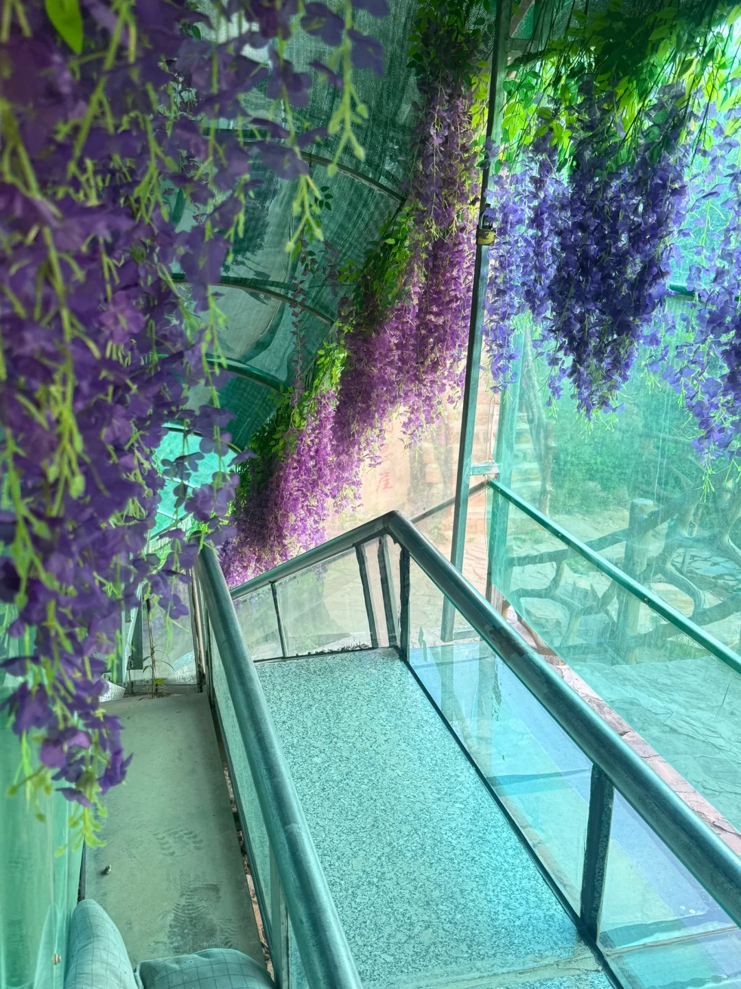 不是！来之前也没人给我说这么好玩啊！