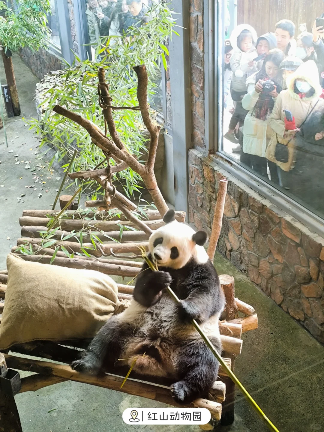 💥南京热门景区免费开放啦！下半年更精彩