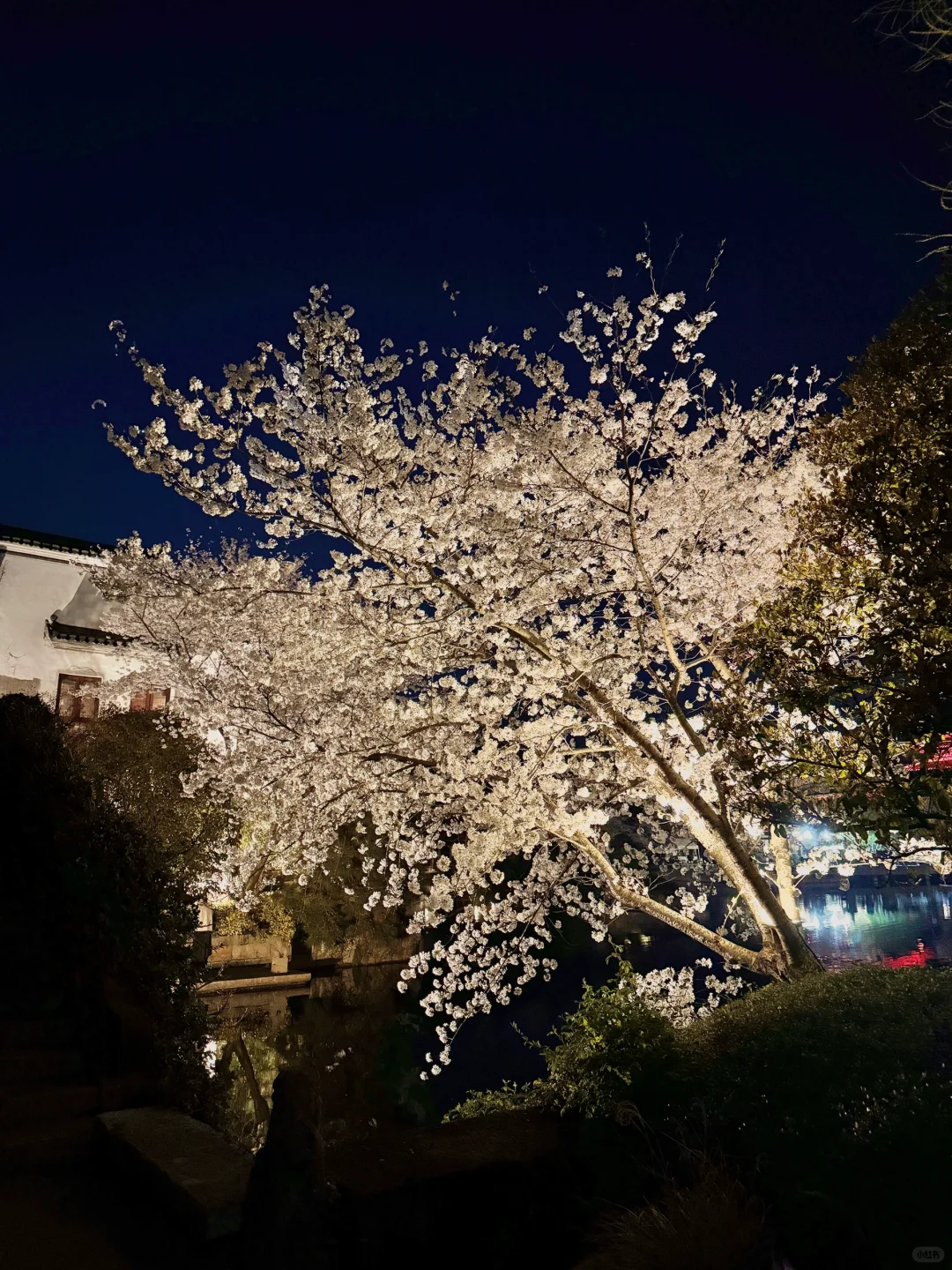 以为西湖够美了，直到我去了这里……