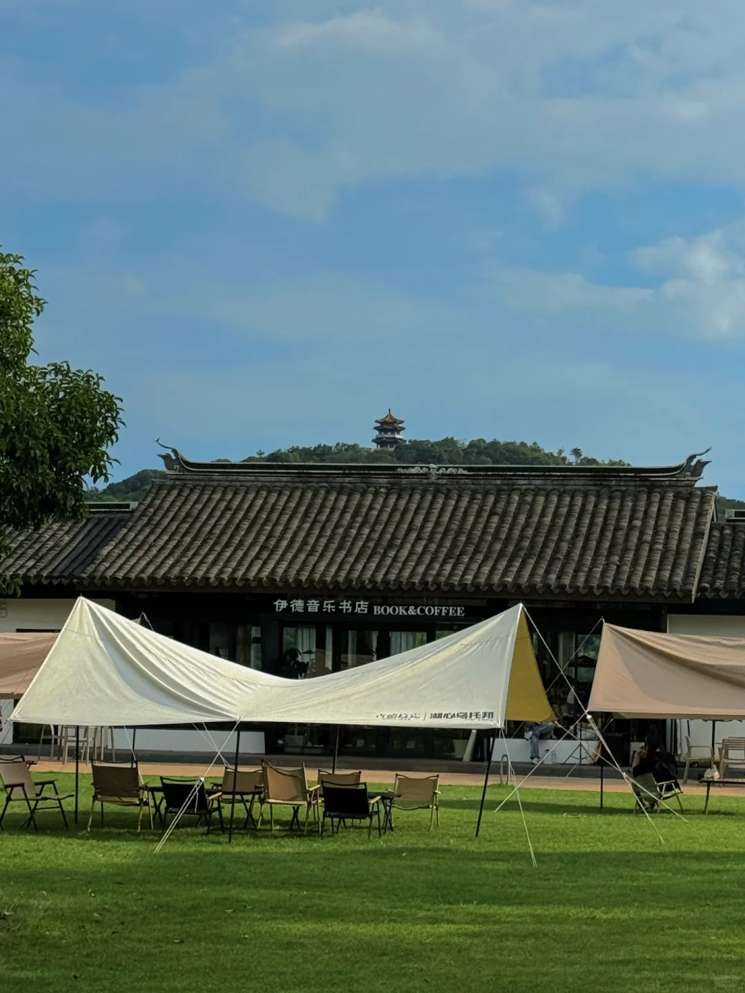 无锡夏天最迷人的小岛，我会反复爱上。