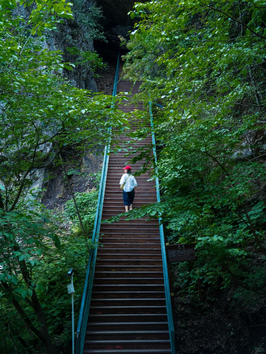 🍃郑州出发3小时！🌳夏季23度的避暑胜地！！