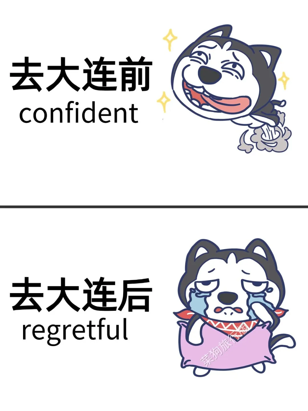 去大连之前怎么没有人告诉我啊😭超全避雷