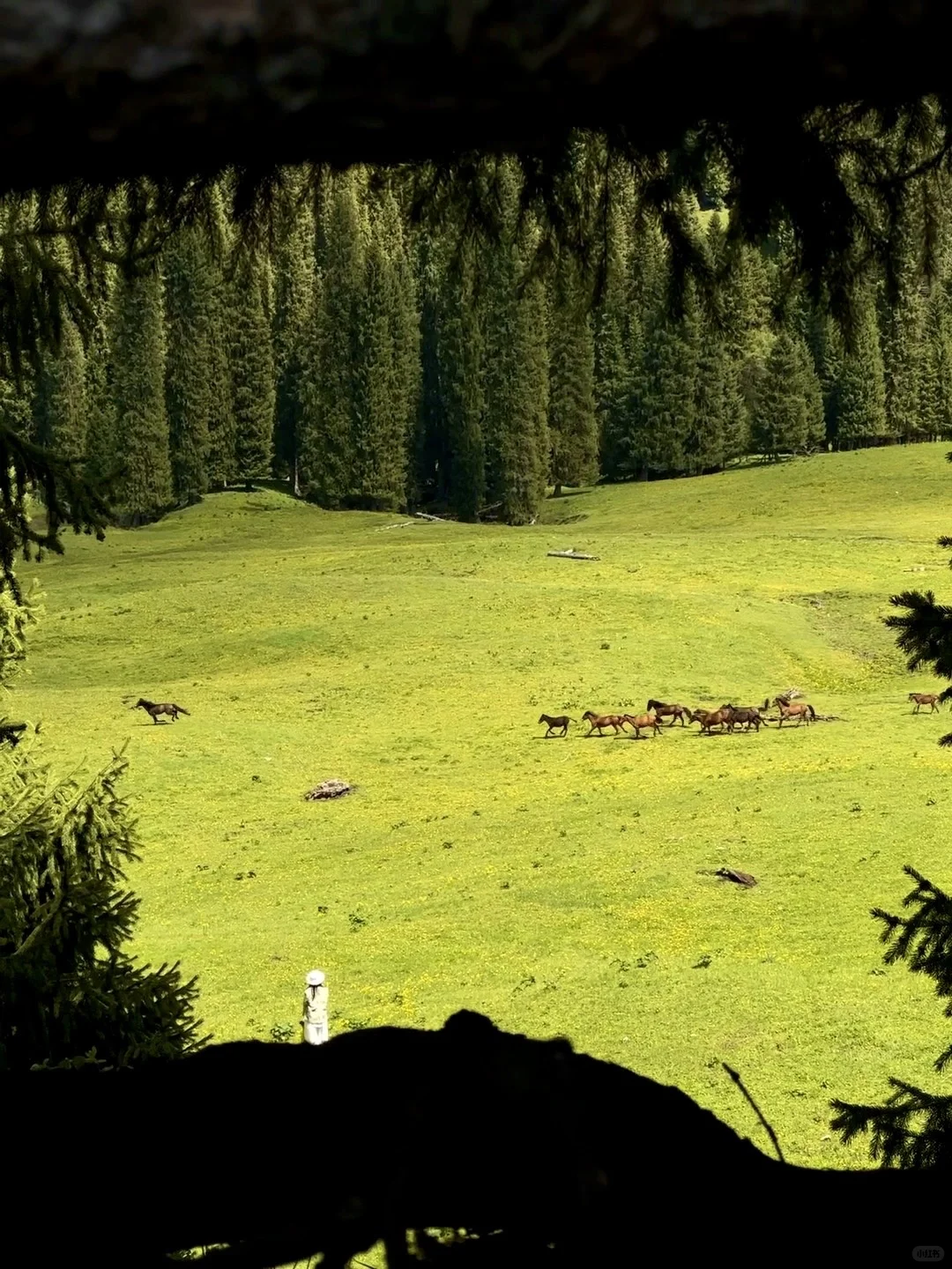 在新疆拍到了，我的人生live图！