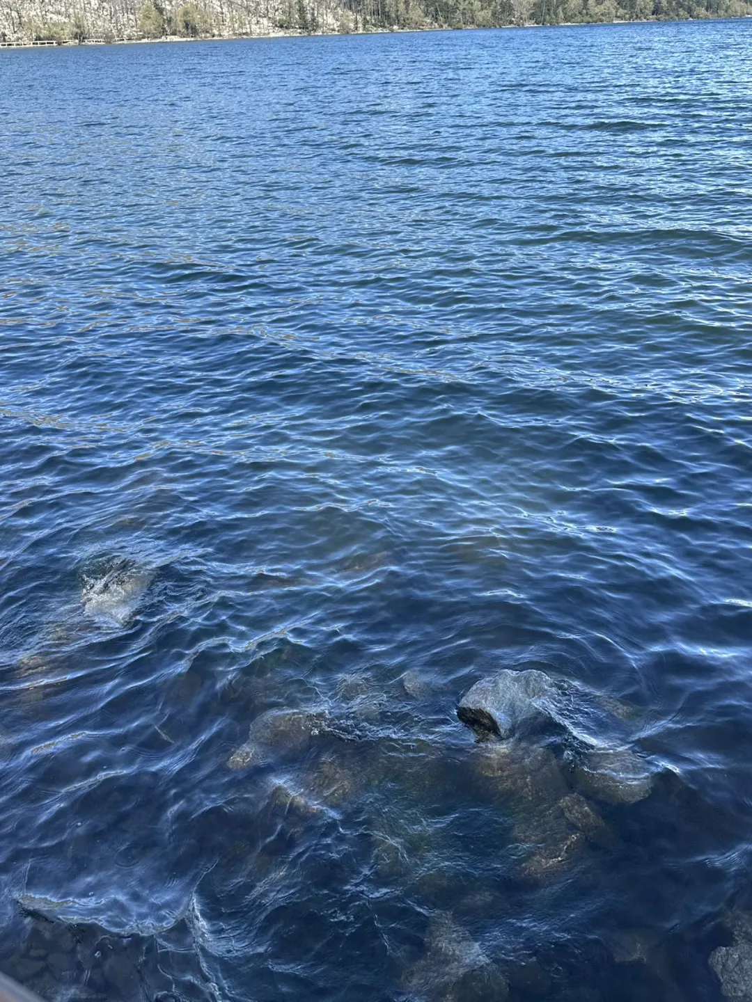 在川西！去山里感受20度的夏天💦