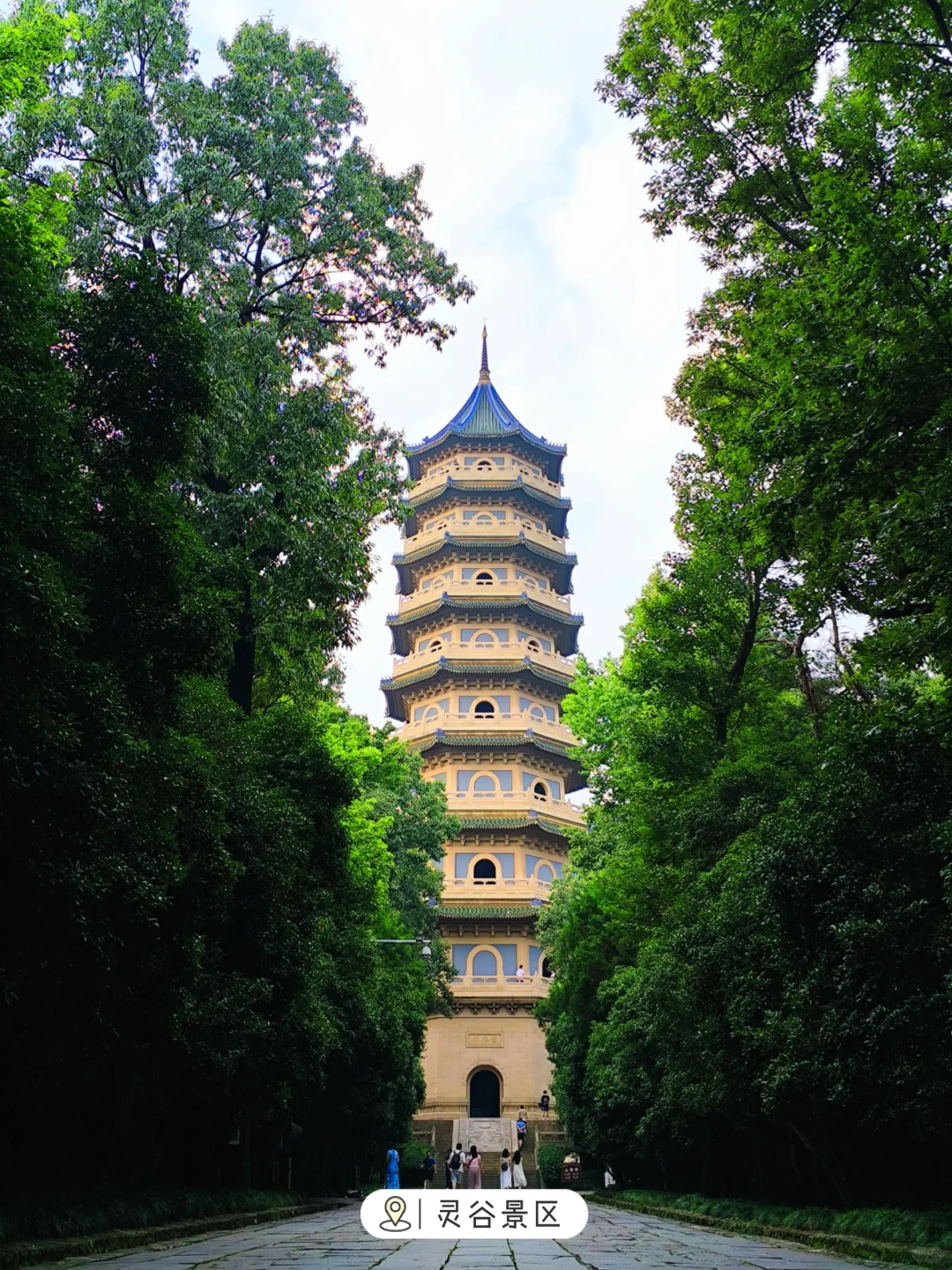 💥南京热门景区免费开放啦！下半年更精彩