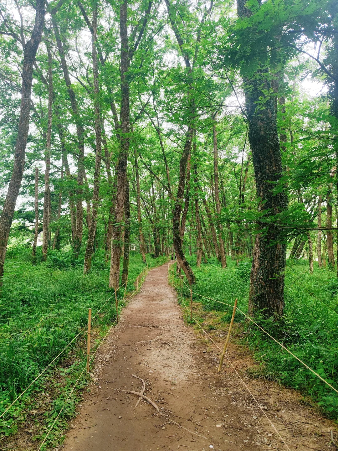 徽州古村四天三晚行程分享