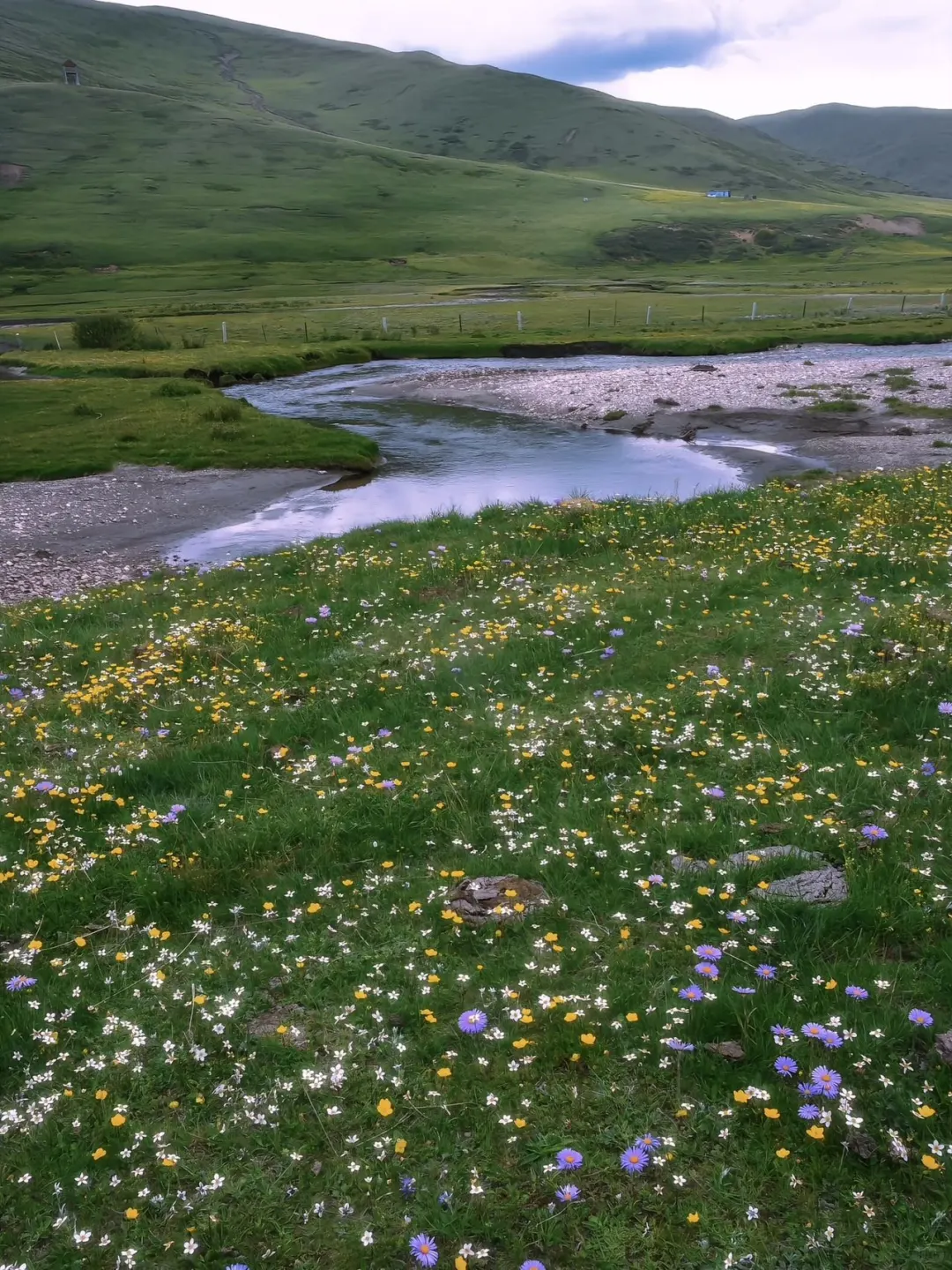 在川西！去山里感受20度的夏天💦