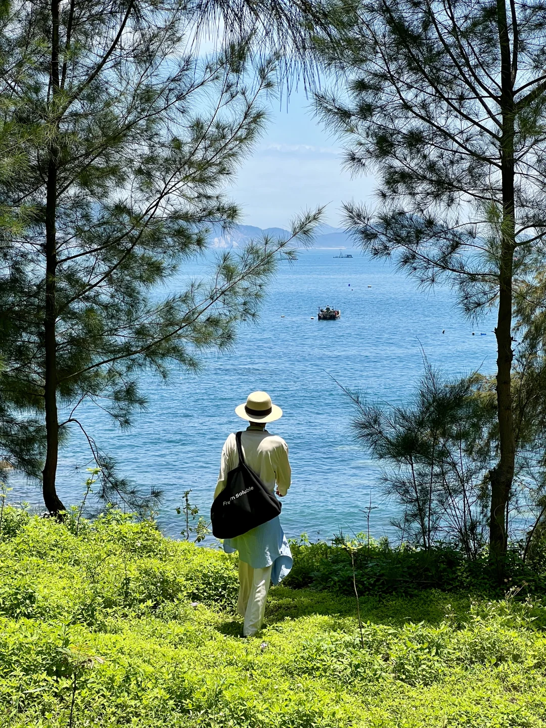 live图，我发现了东山岛的小众景点～