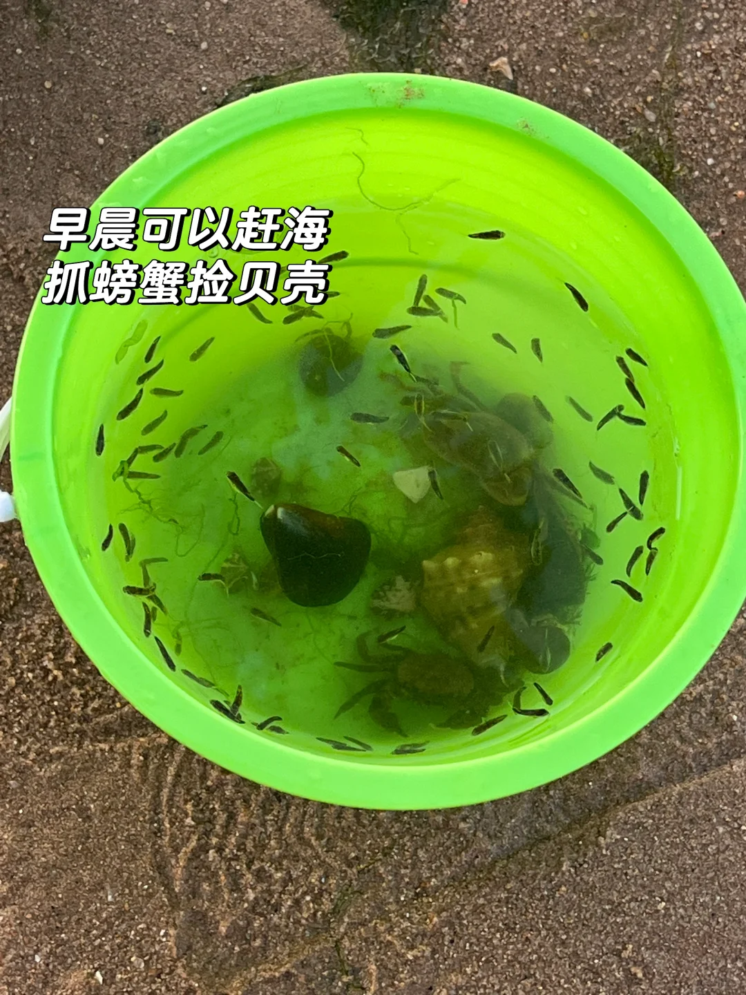 暑假东戴河游玩攻略，不踩雷保姆级分享