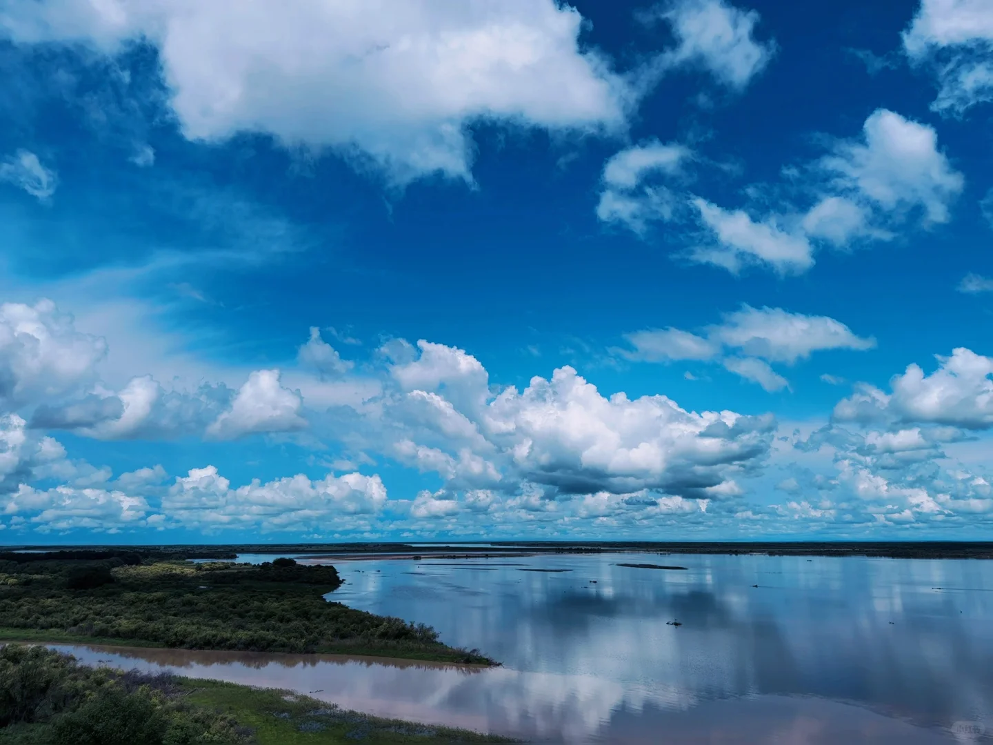 ＂目光所及皆苍绿＂🌲🌿