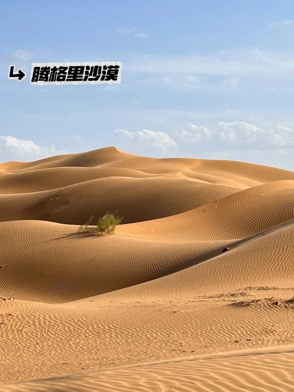 人生建议：6-9月一定要去一次内蒙古