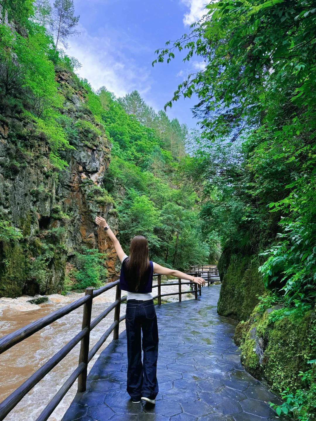 ＂目光所及皆苍绿＂🌲🌿
