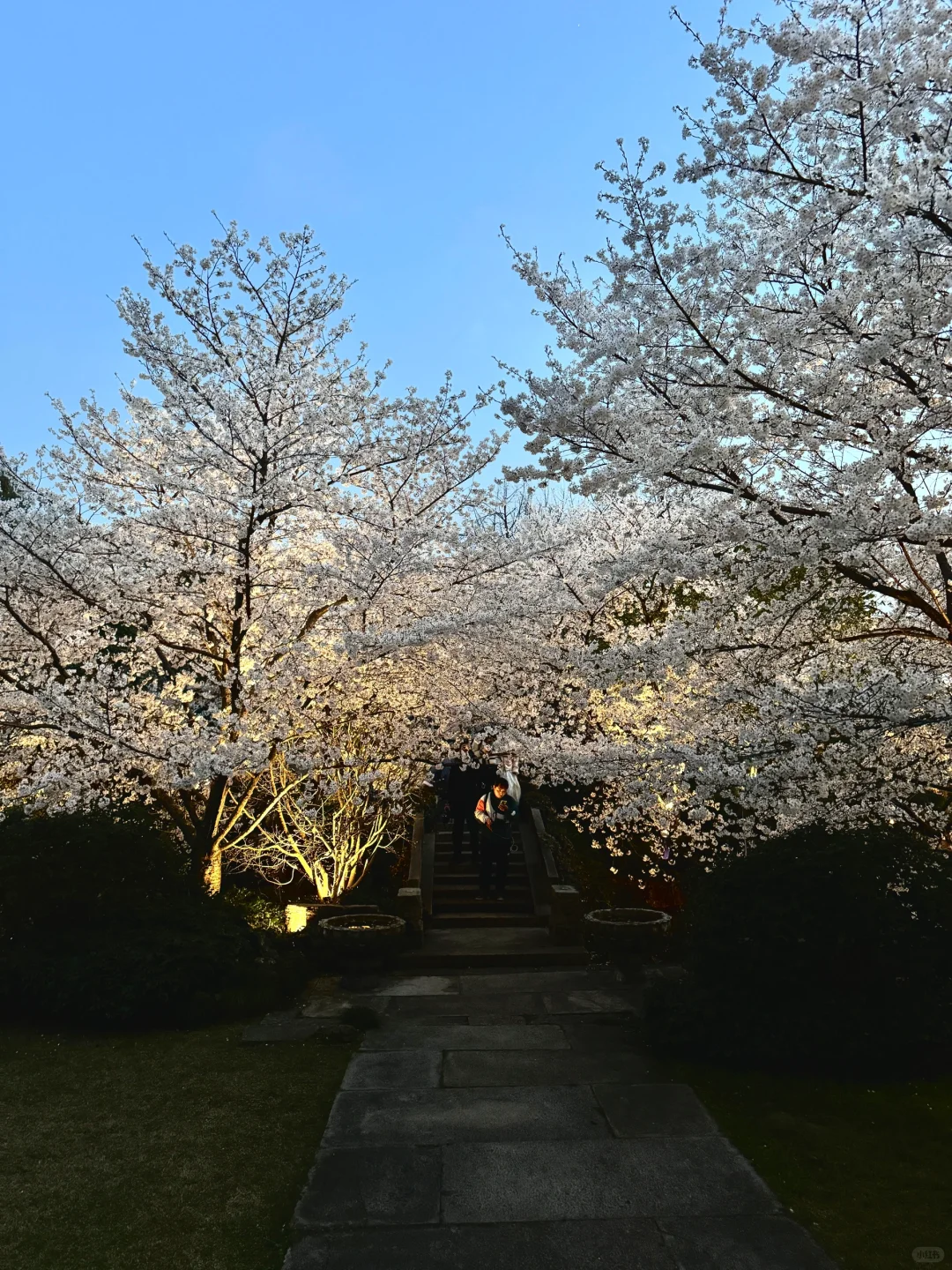 以为西湖够美了，直到我去了这里……