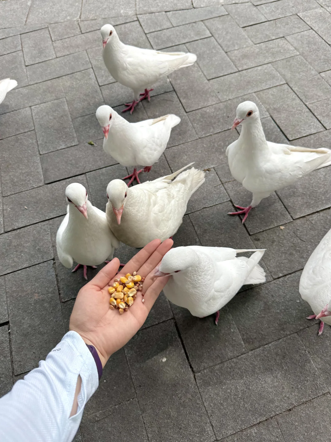 去莫干山一次等于看心理医生一百次‼️附攻略