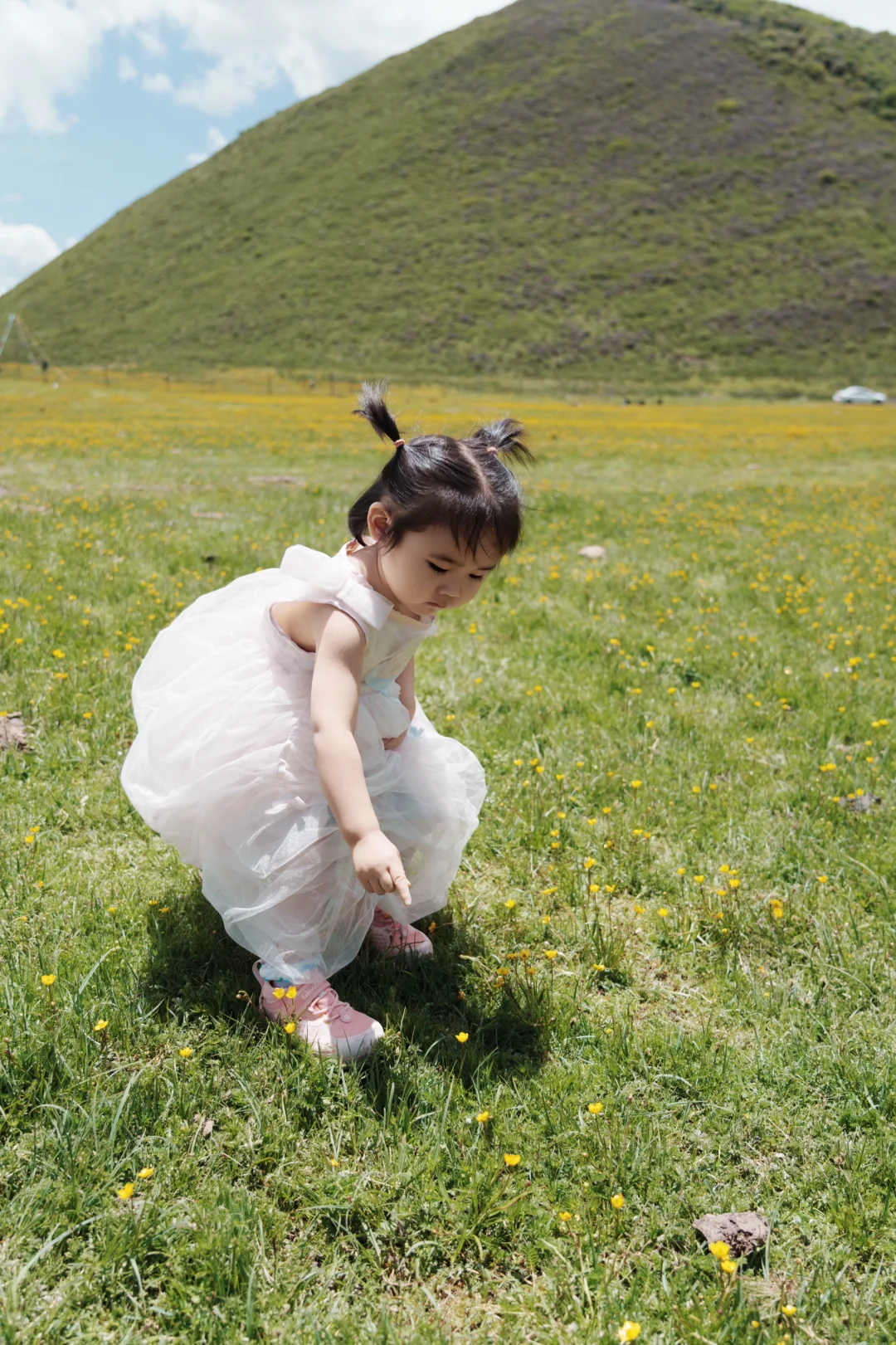 花海去什么俄么塘，达格则啥都能实现。