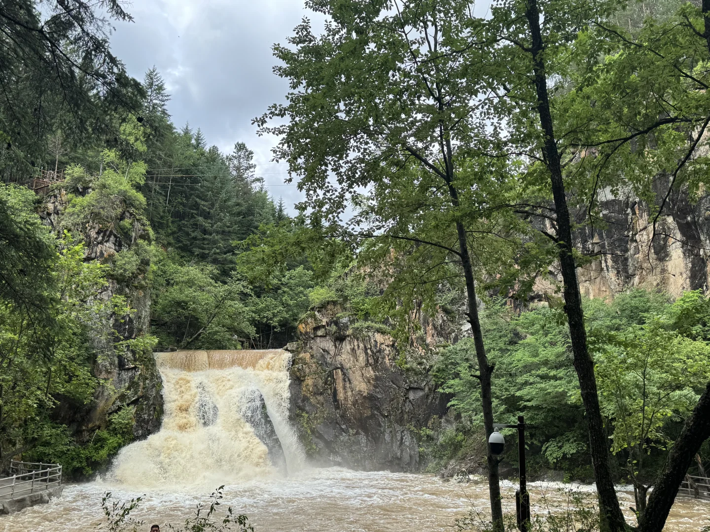 ＂目光所及皆苍绿＂🌲🌿