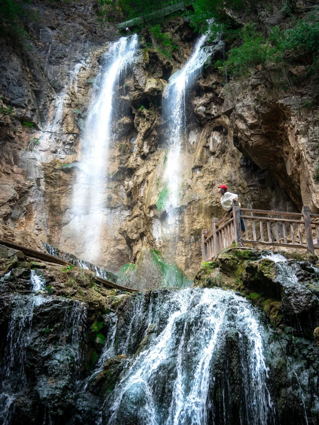 🍃郑州出发3小时！🌳夏季23度的避暑胜地！！